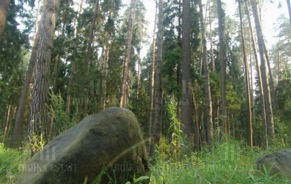 Купить  Участок без отделки Рублево-Успенское 22км от МКАД