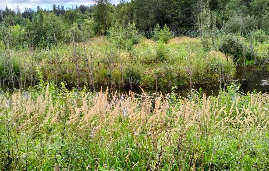 КупитьУчасток
без отделкиУчасток под Звенигородом 23 км метро 